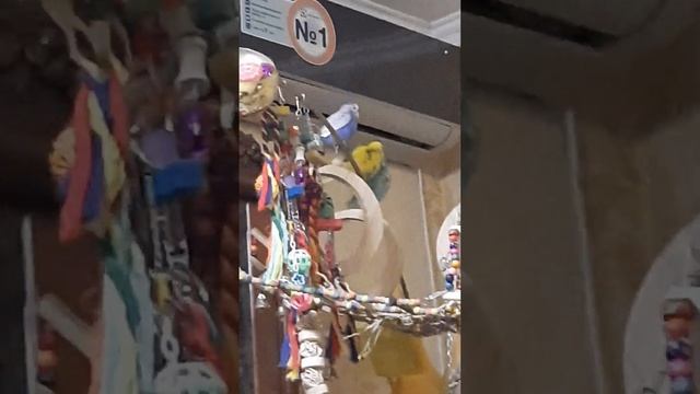 Снежана и Серёжа и Джерри на полу смотреть онлайн