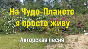 На Чудо Планете я просто живу. Авторская песня под гитару. Автор исполнитель Светлана Авдеева