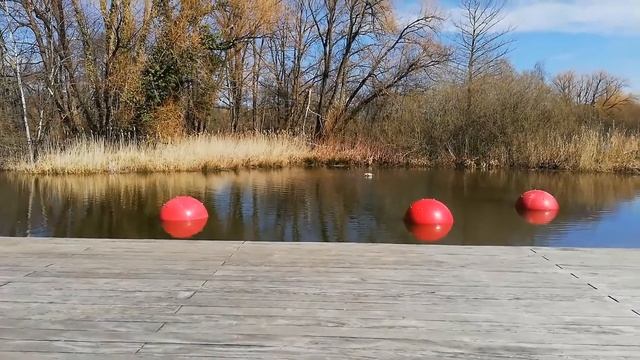 Германия Запуск ? Распыляющих Шаров Сотрудники Парка В Деле Водоём || Germany Park Spray Balloons смотреть онлайн