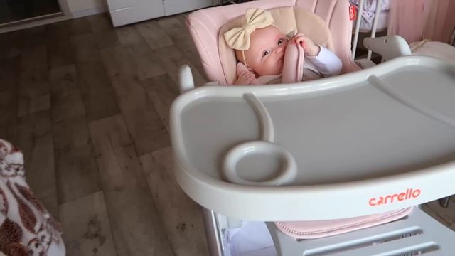 ВЛОГ:СТУЛЬЧИК ДЛЯ КОРМЛЕНИЯ CARRELLO CONCORD? смотреть онлайн