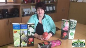 Гортензия: посадка, уход, обрезка