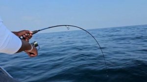 WEEKEND SEA FISHING IN FUJAIRAH. МОРСКАЯ РЫБАЛКА ВЫХОДНОГО ДНЯ В ФУДЖЕЙРЕ.