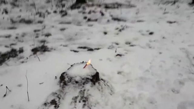 Корсар ,,Чёрная смерть " от Салют России.
