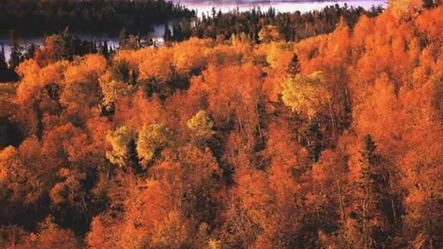 Видеоролик на песню Сергея Любавина "Казанская" осенняя" смотреть онлайн