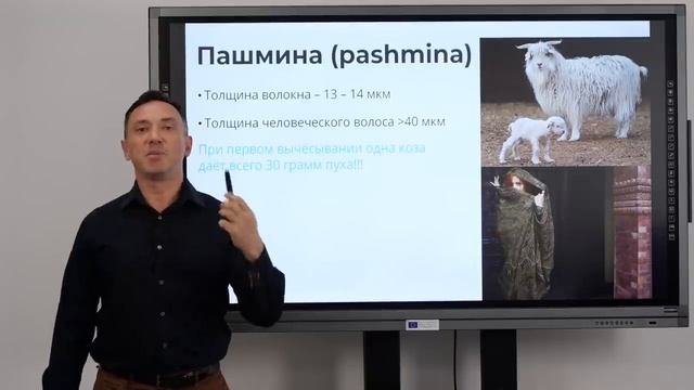 КАШЕМИР И КАШЕМИРОВЫЕ ТКАНИ. ЖИЗНЬ КОРОТКА, ЧТОБЫ НЕ НОСИТЬ ЕГО И КАК ВЫБРАТЬ КАШЕМИР?