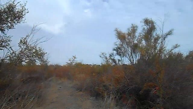 Город Балхаш (Балқаш) | парк, где дети нашли СТО ТЫСЯЧ ДОЛЛАРОВ в сумке смотреть онлайн