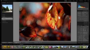 Обзор YONGNUO 25mm 1:1.7 STM ASPH, модель YN25mm F1.7M для камер системы Micro 4/3