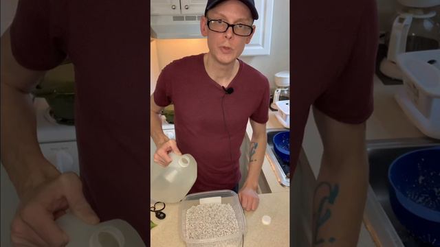 How to Propagate Plants in Perlite | Houseplant Essentials смотреть онлайн