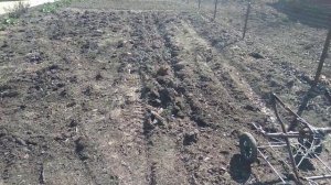 Самодельный трехкорпусный плуг изпредплужников