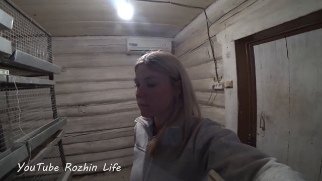 Обзор хозяйства / Поехали в город развозить заказы смотреть онлайн