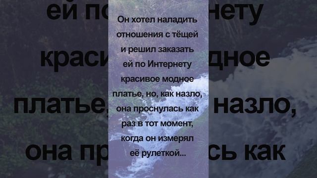 Он хотел наладить отношения с тёщей и решил заказать ей по Интернету красивое модное платье, но, ка