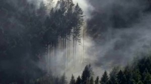 Как расширить сознание или все же внимание?