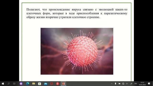 Вирусы