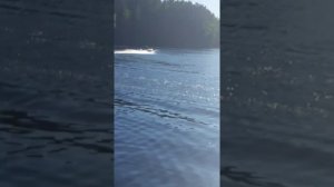 Риф скат 370 и мотор Меркури 9.9(15)