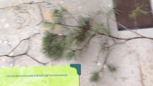 Быстрый НОВОГОДНИЙ ДЕКОР своими руками/ DIY Christmas Decorations