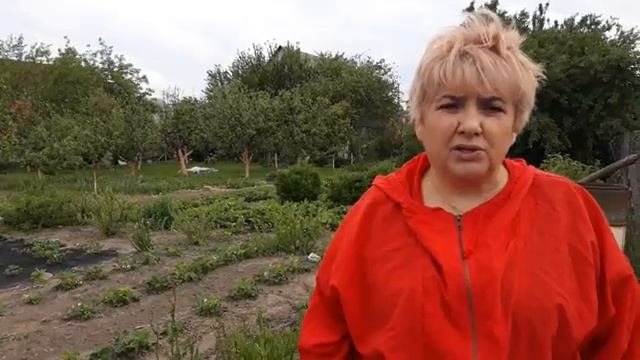 БЮДЖЕТНОЕ РАЗМНОЖЕНИЕ ЕЖЕВИКИ. Садим-сеем. Мой опыт. смотреть онлайн