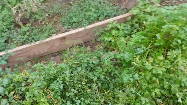 Всё идёт по плану...даже лучше..продвижения ремонта смотреть онлайн