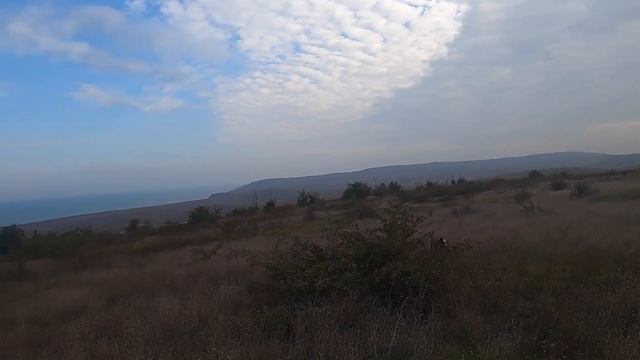 Охота на Фазана камера ShotCam смотреть онлайн