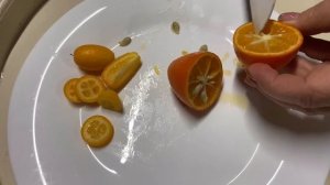 Нордманн (Nordmann Seedless Nagami kumquat) Кумкват "Indio mandarinquat"