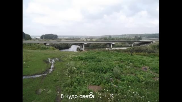 Колхоз "Большевик" тихая гибель!