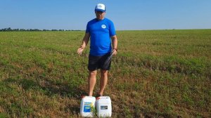 Биодеструктор стерни на Зерновые. Деструкция стерни для обработки остатков соломы на поле 2л/га.