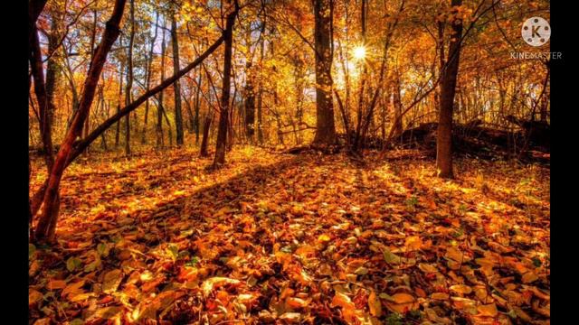 Уладзімір Караткевіч "Лісце"