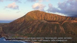 О бассейне Клеопатры в Памуккале: описание, история, место на карте