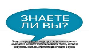 Можно ли научить попугая жако говорить