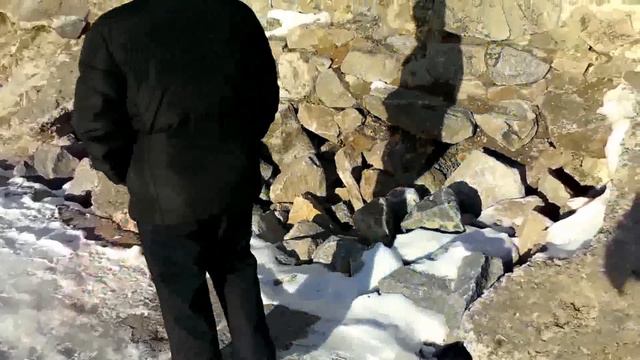 Бердянск. Недалеко от зоны АТО. Кот-морж? смотреть онлайн