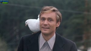 DJ Грув - Любовь и голуби