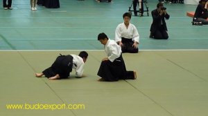 48th All Japan Aikido - Kanazawa Takeshi Shihan