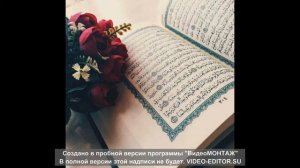 Красивый нашид "Моя Надежда"