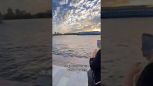 Когда стало скучно гулять одному