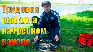 Трудовая рыбалка на Гребном канале. Как поймать тогда, кода не ловится