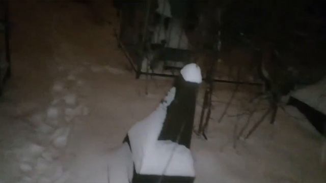 Ночная прогулка по кладбищу