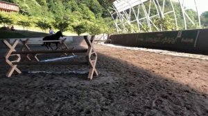 ПОЛУ-ВЛОГ С КОНЮШНИ! КОНКУРНАЯ ТРЕНИРОВКА ?❤️ УПАЛА С ЖЕРЕБЦА!