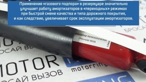 Задние газомасляные амортизаторы LIFT +50мм PRO G альтернатива на Шевроле Нива | MotoRRing.ru