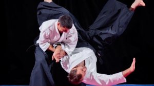 Aikido vs Hapkido | What's The Difference?