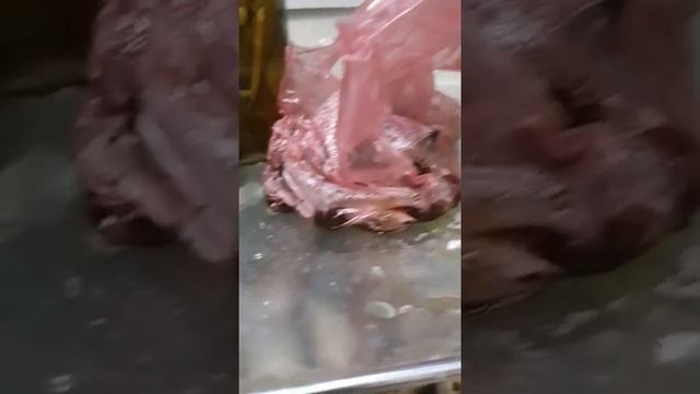 Если выключить холодильник на три недели смотреть онлайн