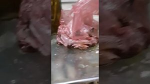 Если выключить холодильник на три недели