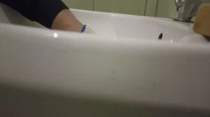 Видео урок по сборке сифона замена сифона гофрированного сборка установка для раковины умывальника