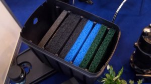 Будет ли полезен шунгит в пруду? Надо ли кормить рыбу зимой? особенности по уходу за прудом для рыб