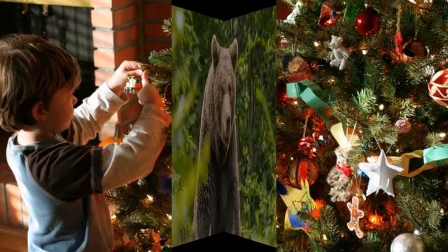 КАК БЕРЁЗКА СТАЛА СИМВОЛОМ РОССИИ смотреть онлайн