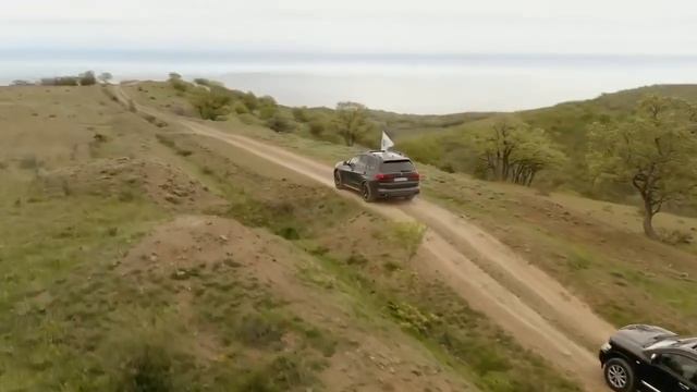 Автопрограмма в Лайм Академии