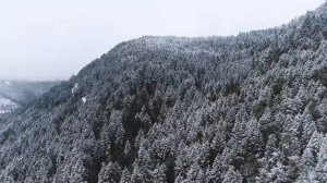 Чтение Корана женщиной во время месячных дозволено? | Шейх Абу Яхья