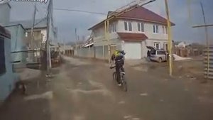 Реакция собак на звук электрошокера смотреть видео прикол