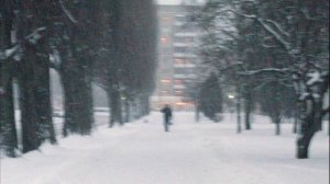 Новый год под фонари..музыка А.Яковлев.Брест 2010