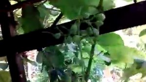 Лазаревское. Отель Форт Артур