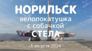 Велопокатушка по Норильску с собачкой, 3 августа 2024 года.
