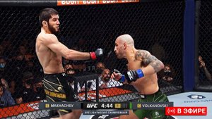 Махачев VS Волкановски (полный бой 12 февраля). Смотреть полный бой онлайн. Защита пояса UFC